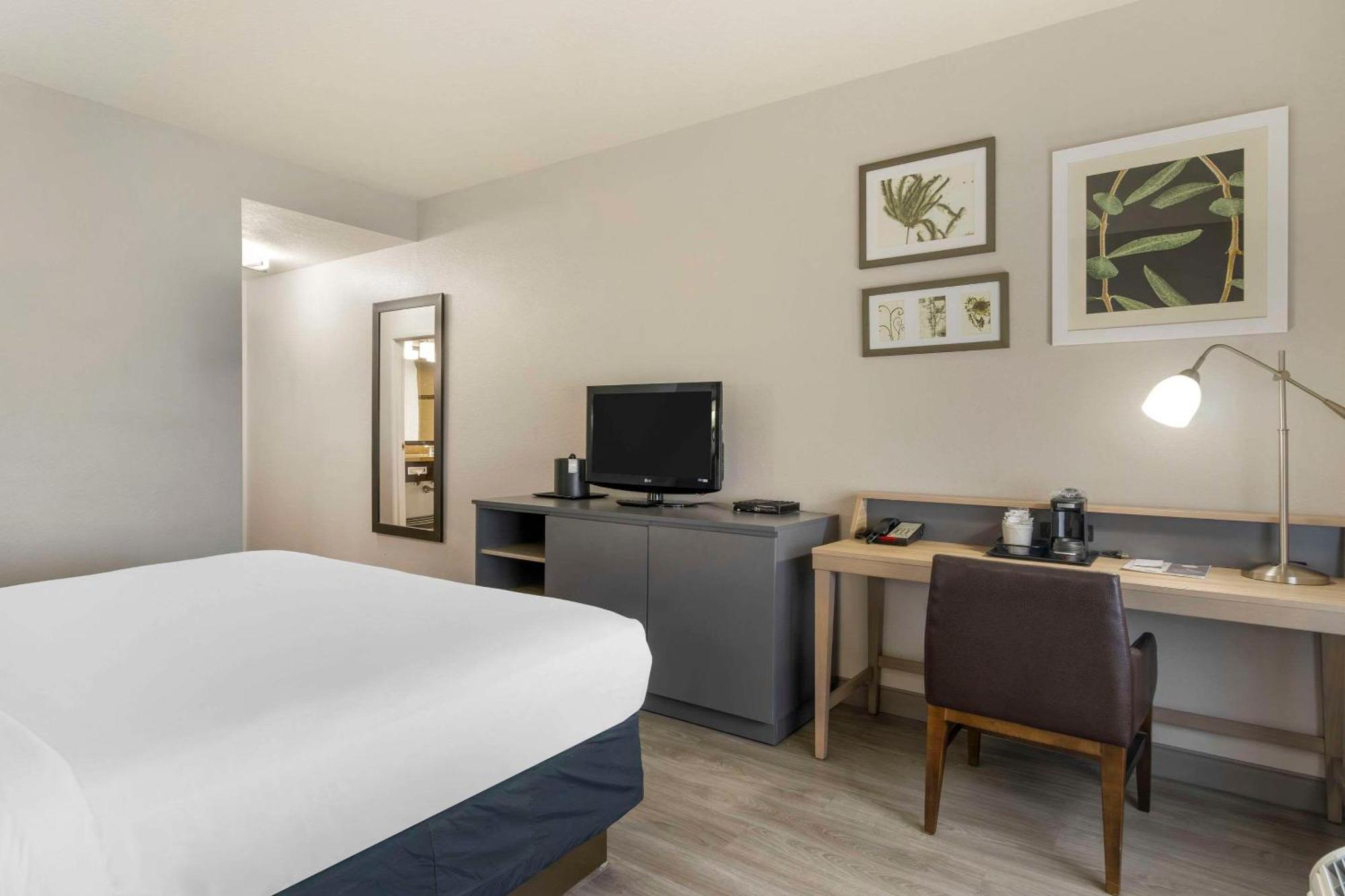 Country Inn & Suites By Radisson, Tampa Airport North, Fl Zewnętrze zdjęcie
