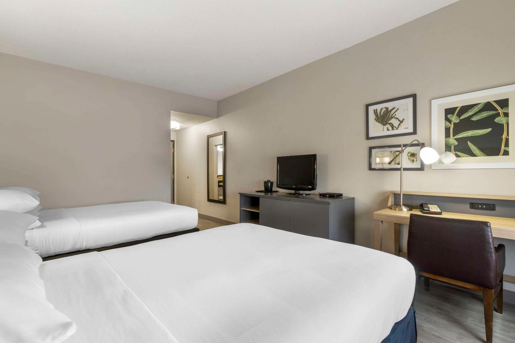 Country Inn & Suites By Radisson, Tampa Airport North, Fl Zewnętrze zdjęcie
